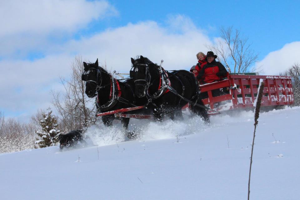 Sleigh Rides in Traverse City 